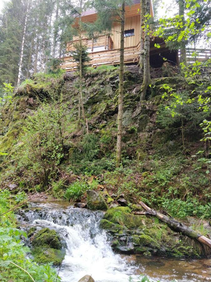 Le Refuge Perche Du Saut De La Bourrique Spa, Terrain Cloture Chalet Gerardmer