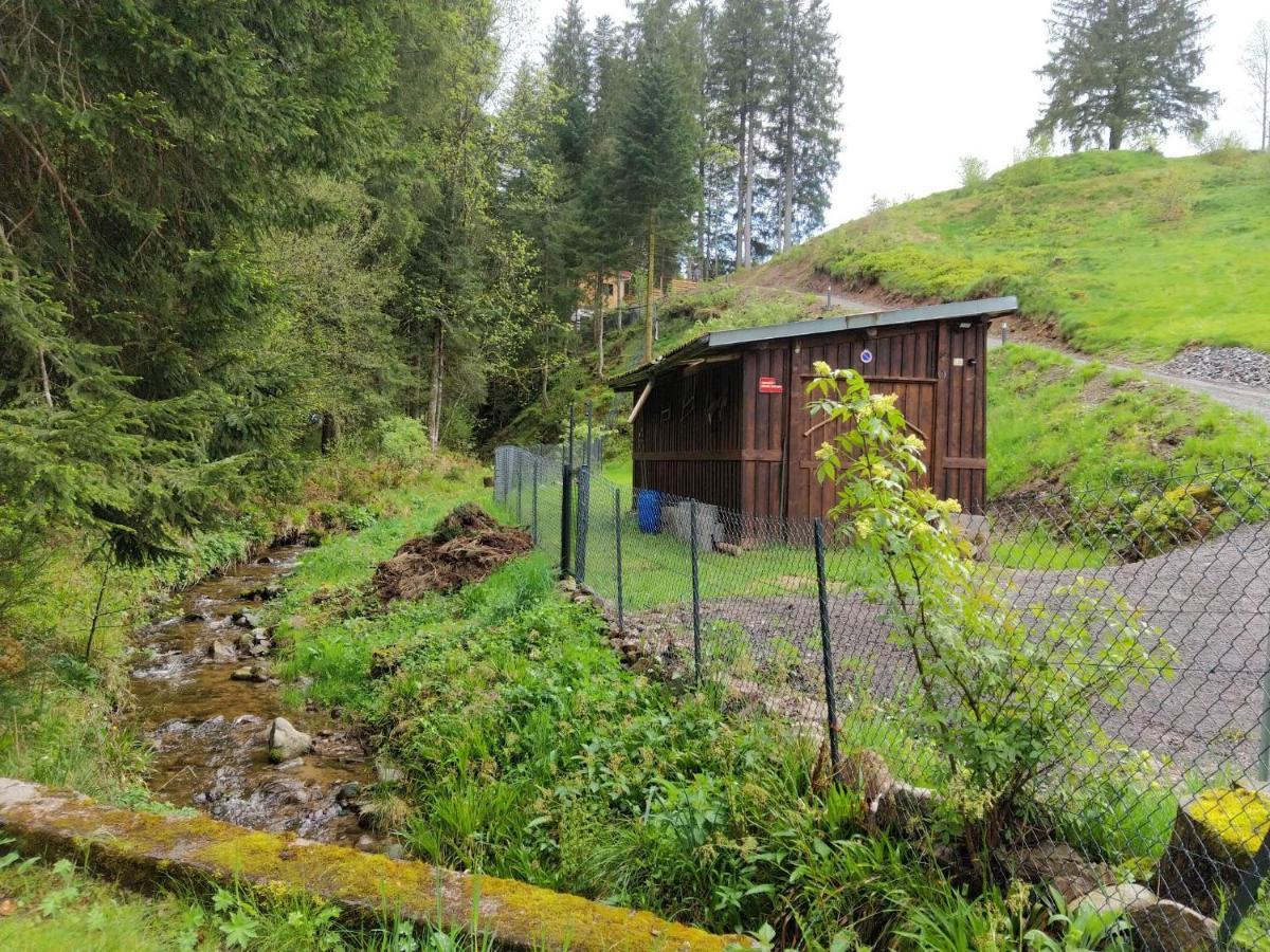 Le Refuge Perche Du Saut De La Bourrique Spa, Terrain Cloture Chalet