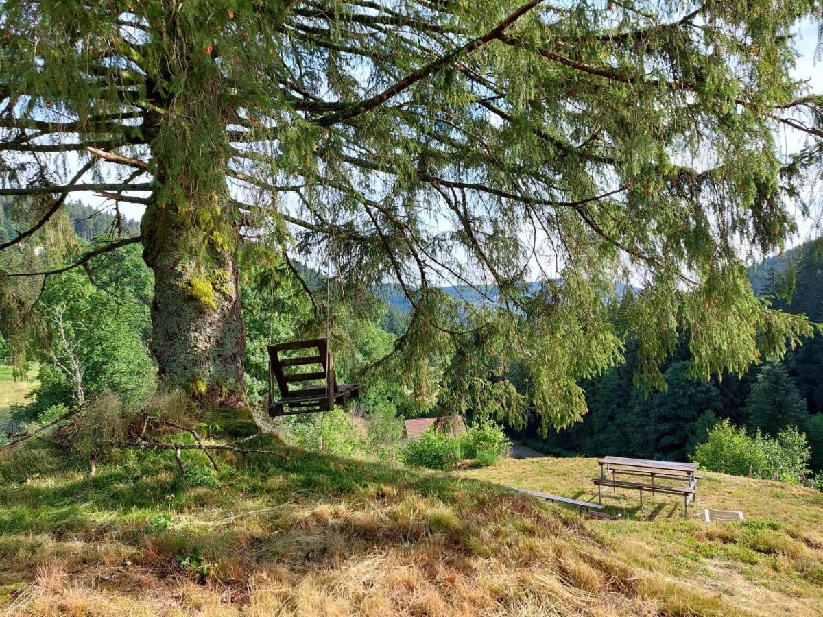 Le Refuge Perche Du Saut De La Bourrique Spa, Terrain Cloture Chalet *