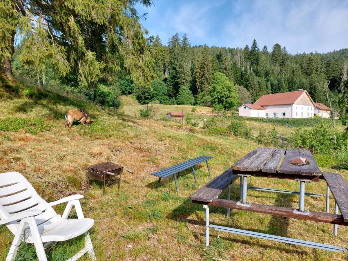 Le Refuge Perche Du Saut De La Bourrique Spa, Terrain Cloture Chalet